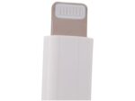 Imagem de Cabo de USB-C para Lightning Apple 1m