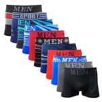 Imagem de Kit 10 Cuecas Boxer Adulto Masculino